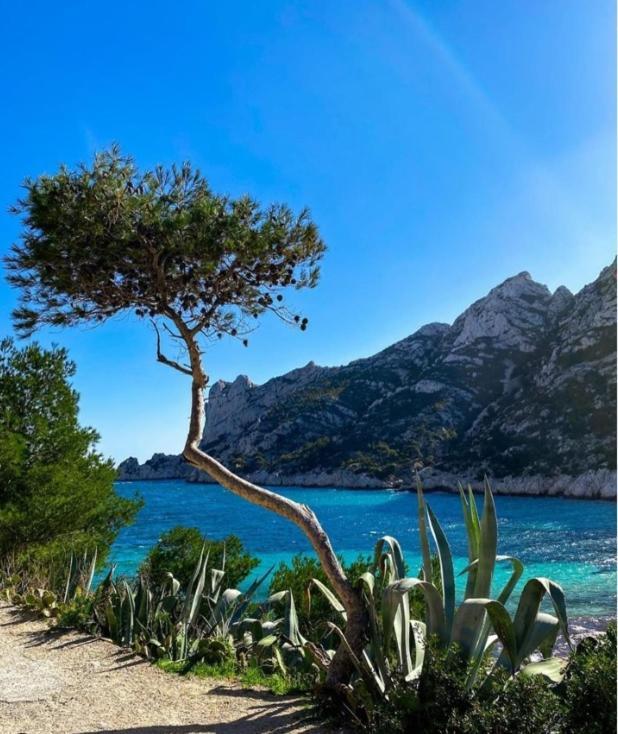 Le Cassidain - Port Et Plage - Luxious Appartement Cassis Eksteriør bilde